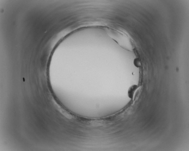 X0000079321181200612081926