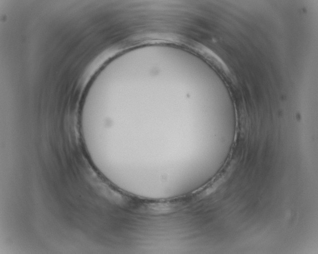 X0000079321182200612081926