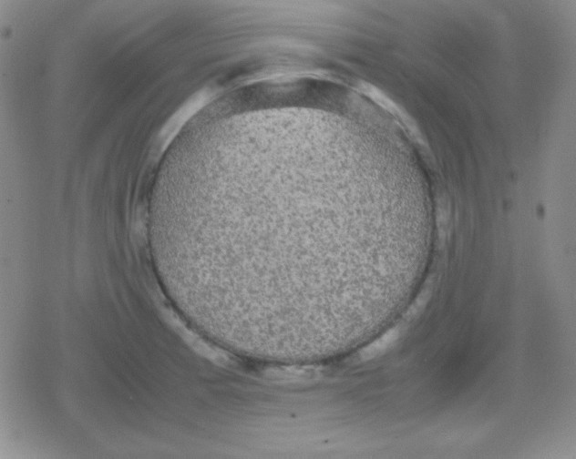 X0000079321185200612081926