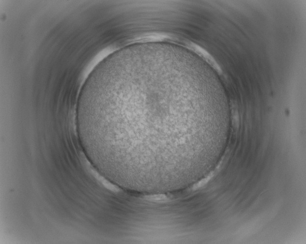 X0000079321186200612081926