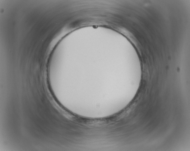 X0000079321187200612081926