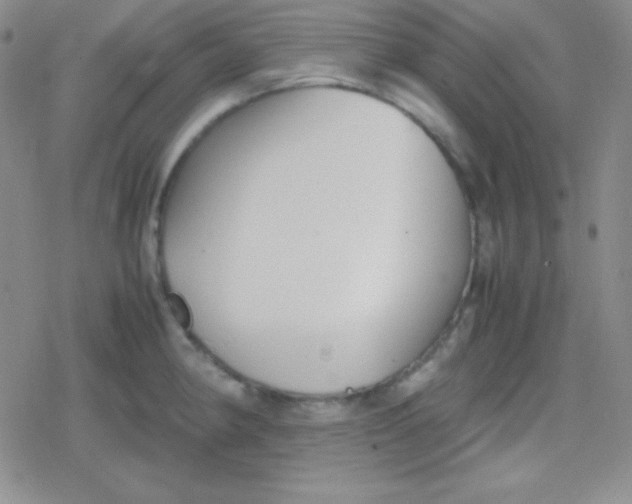 X0000079321190200612081926