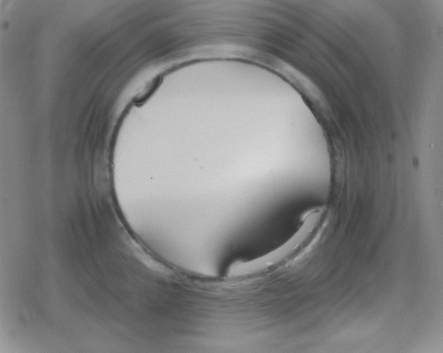 X0000079321192200612081926