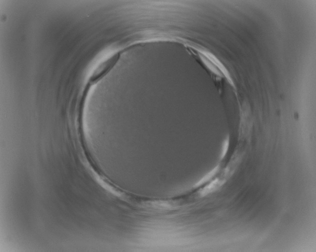 X0000079321197200612081926