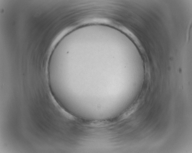 X0000079321199200612081926