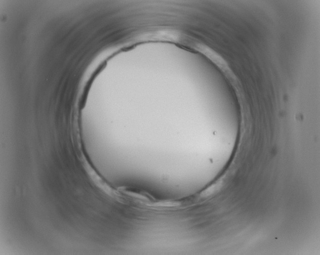 X0000079321200200612081926