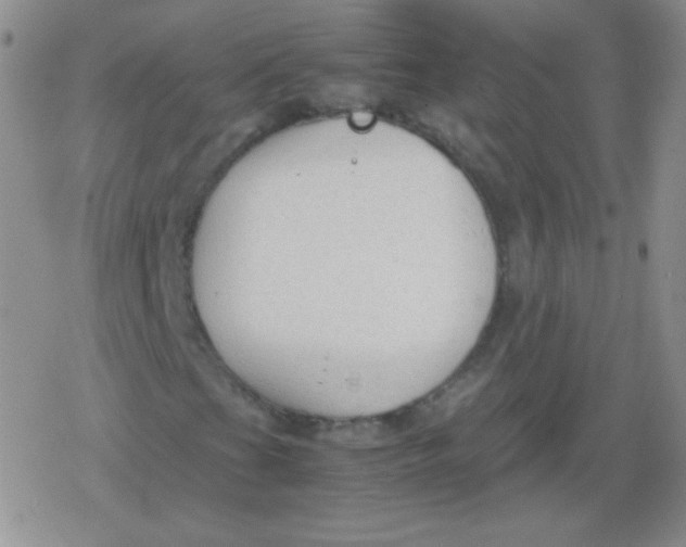 X0000079321201200612081925