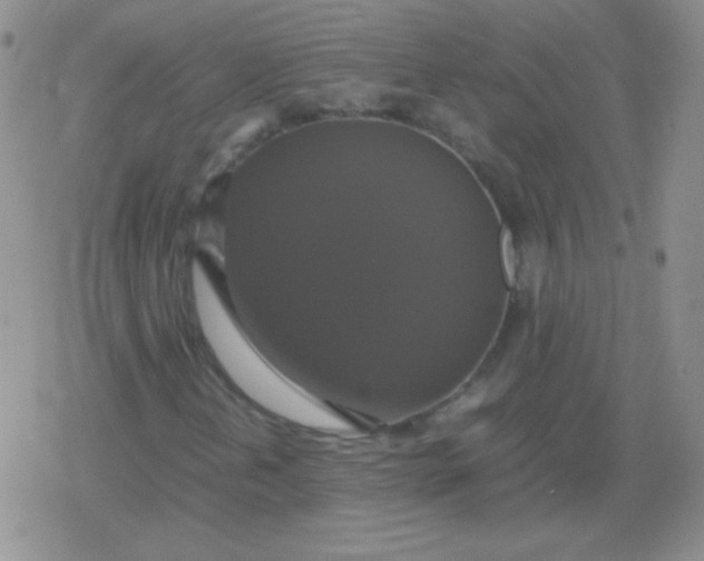 X0000079321202200612081925