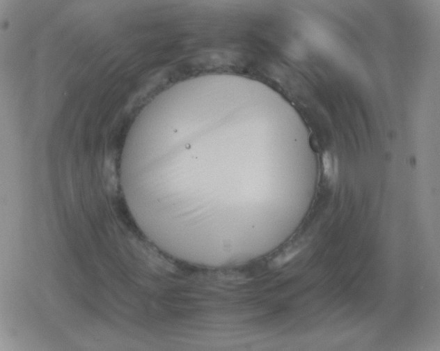 X0000079321203200612081925