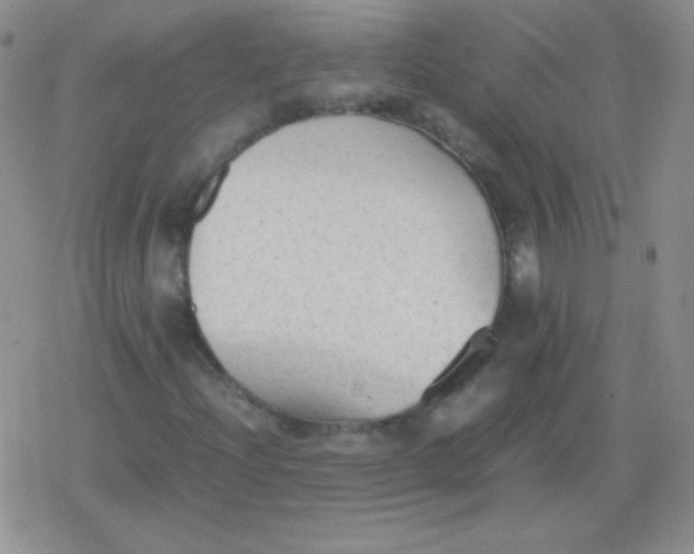 X0000079321204200612081925