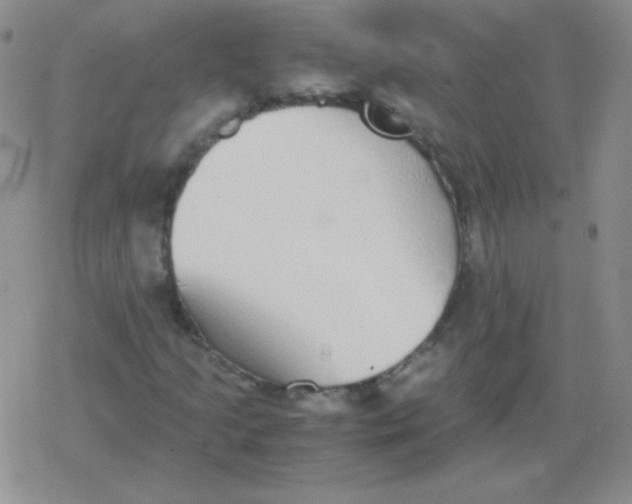 X0000079321205200612081925