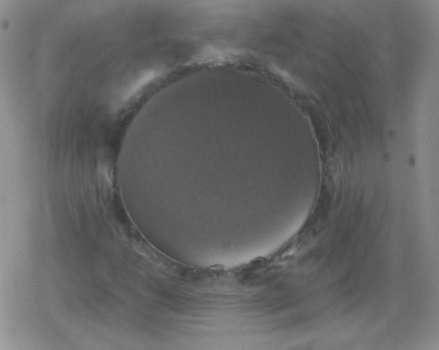 X0000079321206200612081925