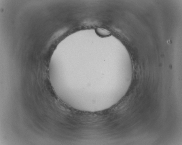 X0000079321207200612081925