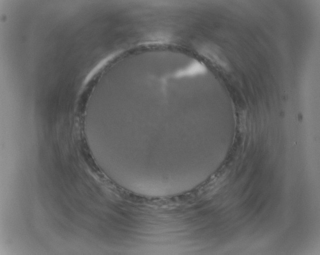 X0000079321208200612081925