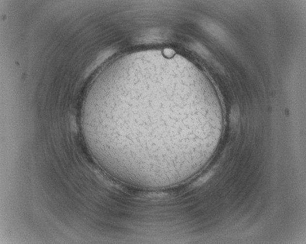 X0000079321209200612081925