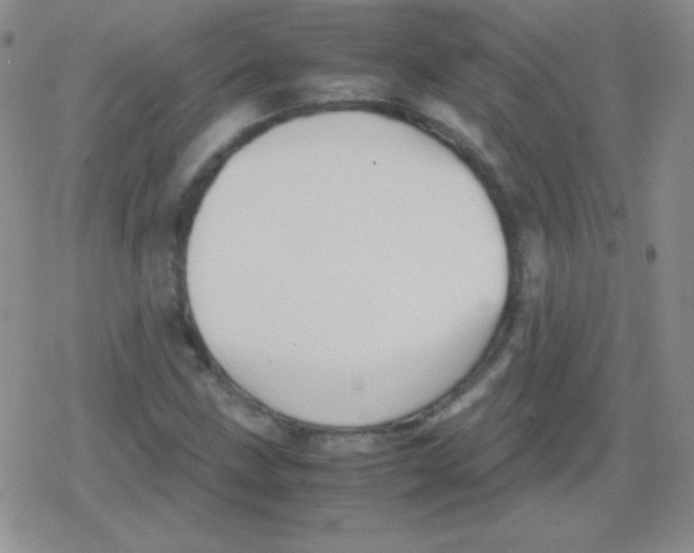 X0000079321211200612081926