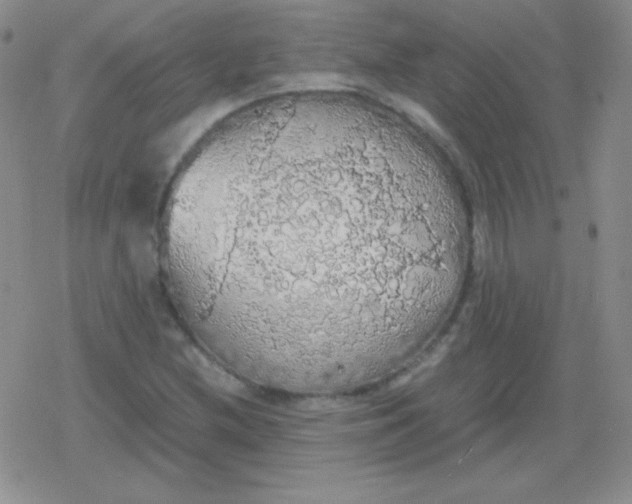 X0000079321212200612081926