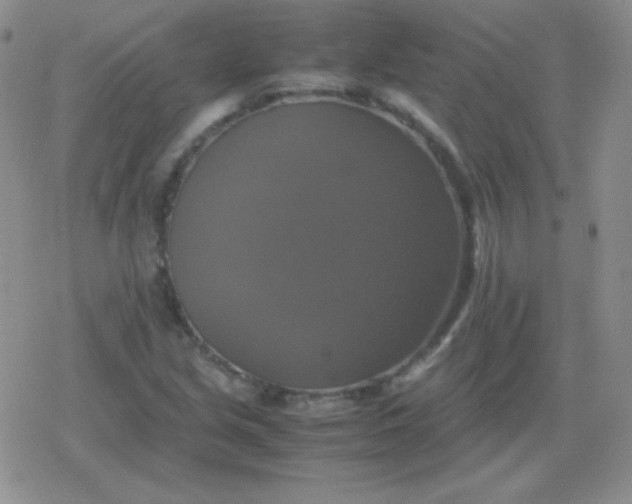 X0000079321213200612081926