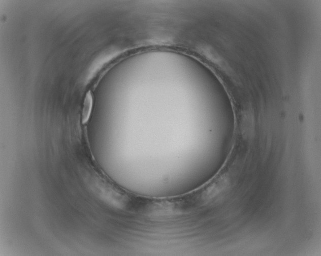 X0000079321214200612081926