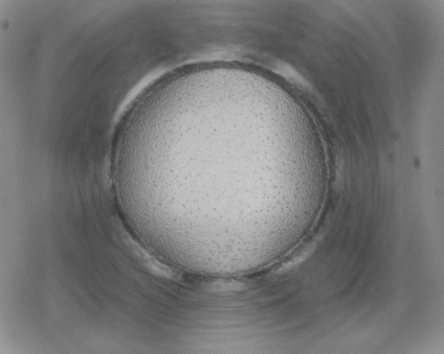 X0000079321216200612081926