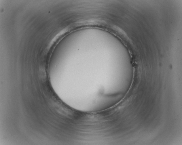 X0000079321218200612081926