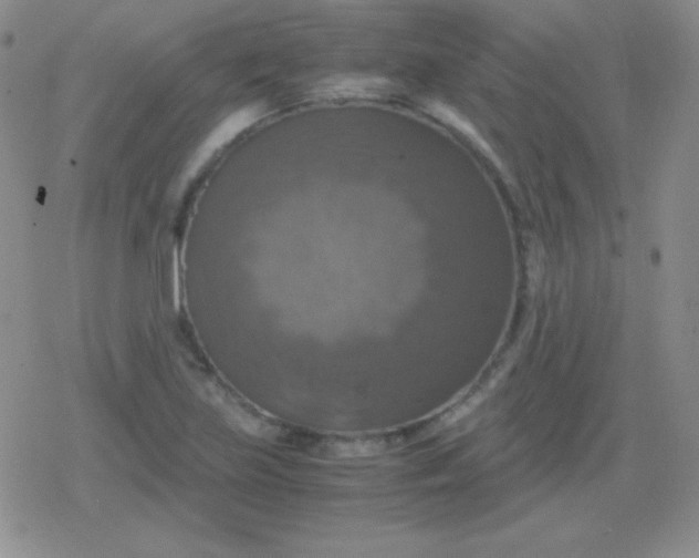 X0000079321219200612081926