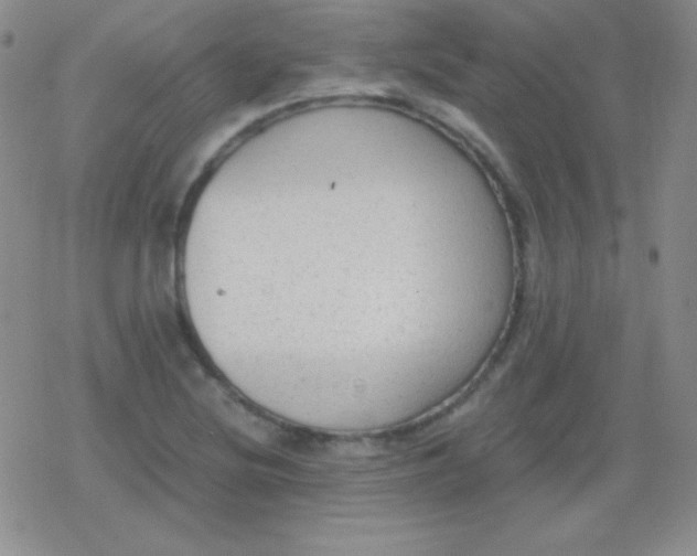 X0000079321220200612081926