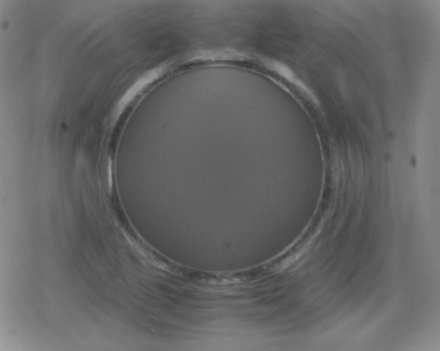 X0000079321221200612081926