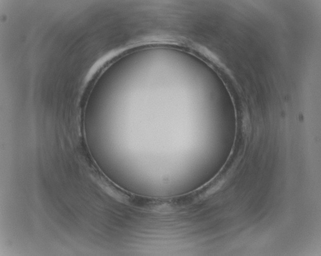 X0000079321222200612081926