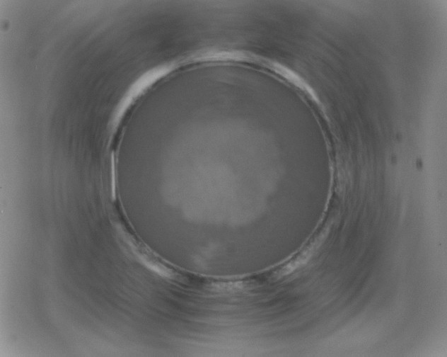 X0000079321223200612081926