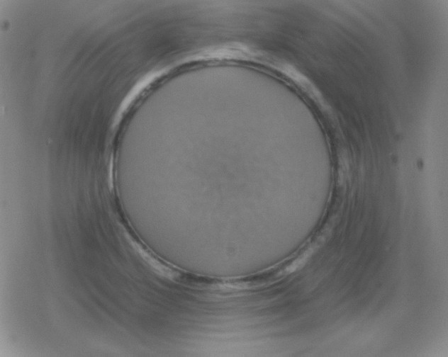 X0000079321224200612081926