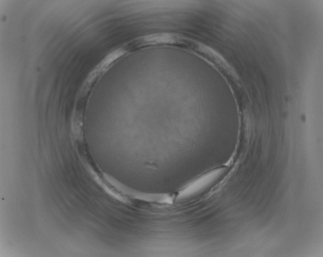 X0000079321225200612081926