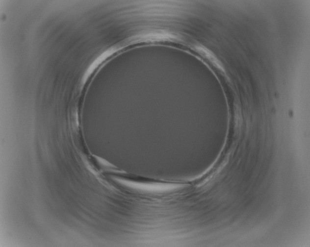 X0000079321226200612081926