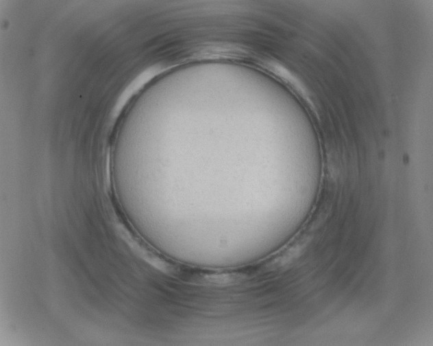 X0000079321227200612081926