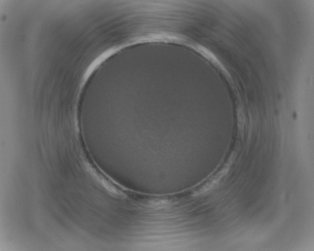 X0000079321230200612081926