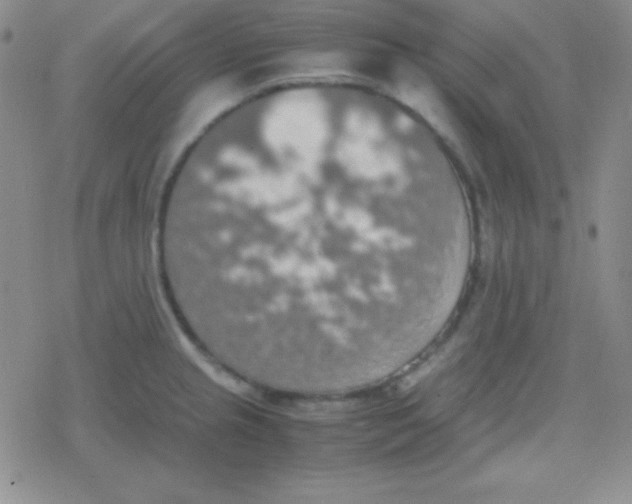 X0000079321237200612081926