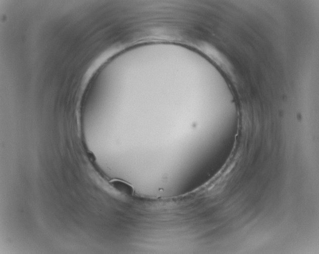 X0000079321238200612081926