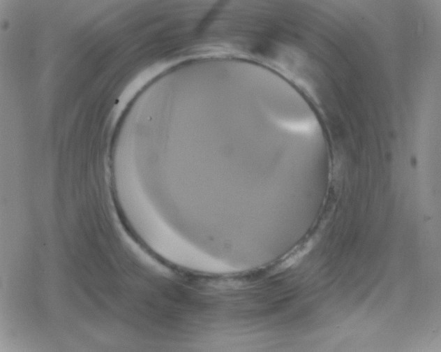 X0000079321239200612081926