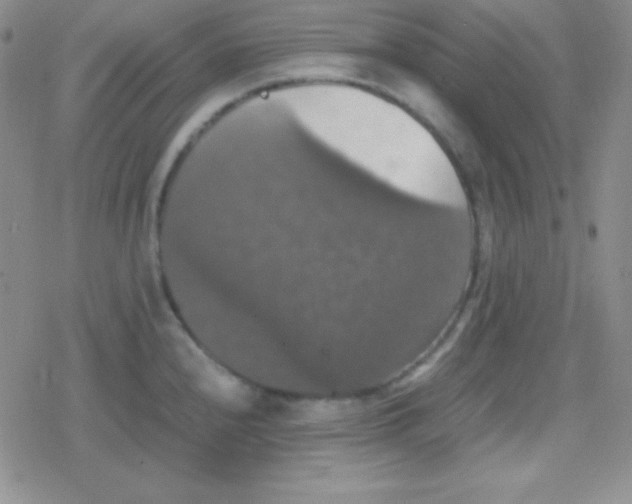 X0000079321240200612081926