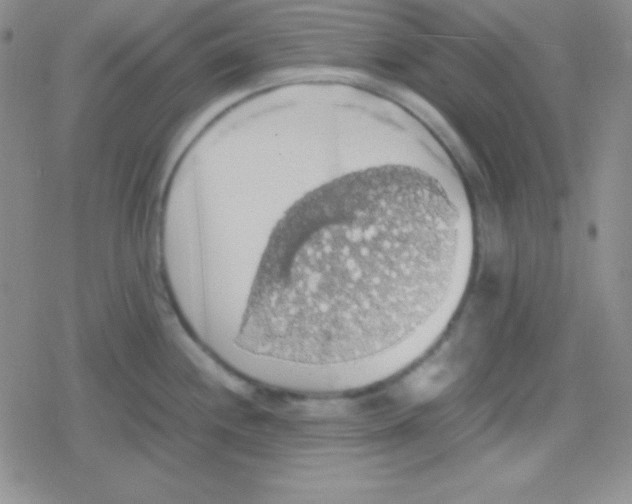 X0000079321244200612081926