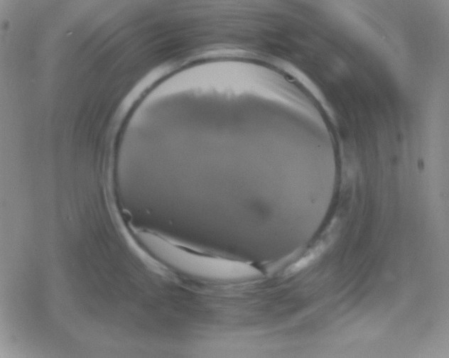 X0000079321245200612081926