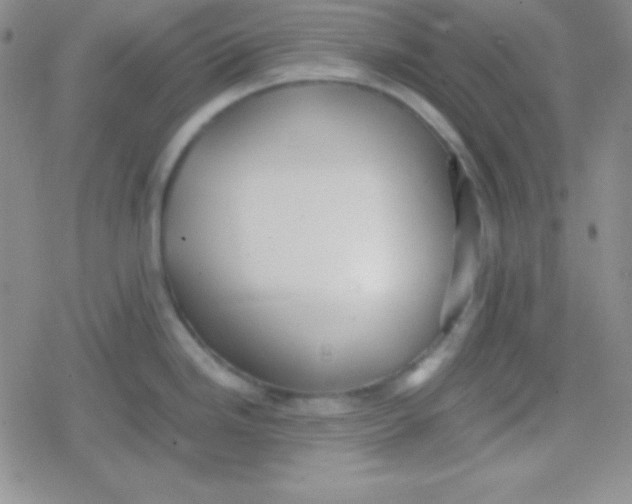 X0000079321246200612081926