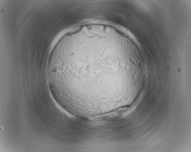 X0000079321247200612081926