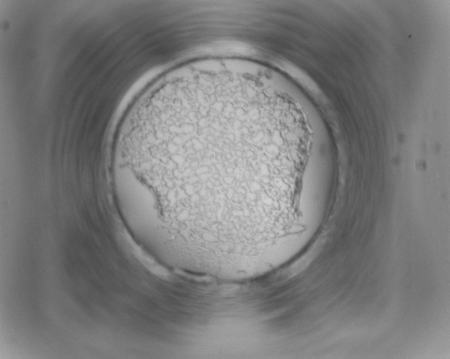 X0000079321248200612081926