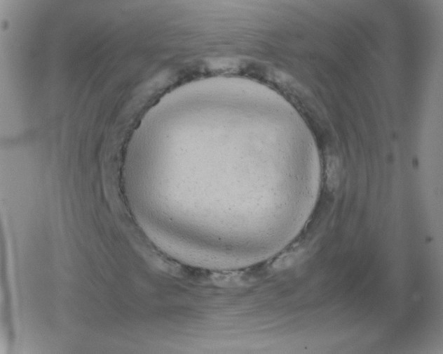 X0000079321249200612081925