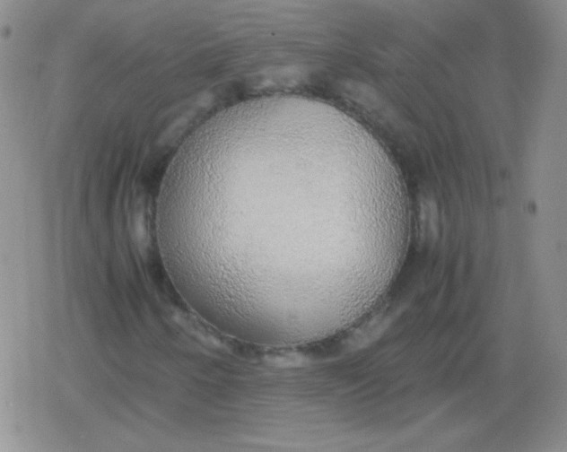 X0000079321250200612081925