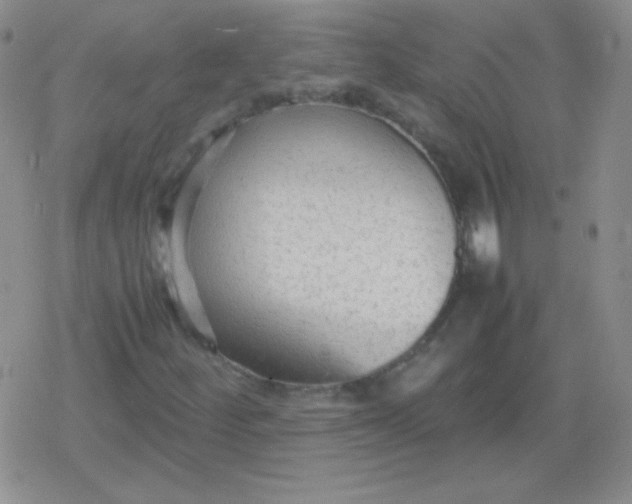 X0000079321252200612081925