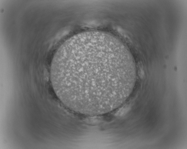 X0000079321253200612081925