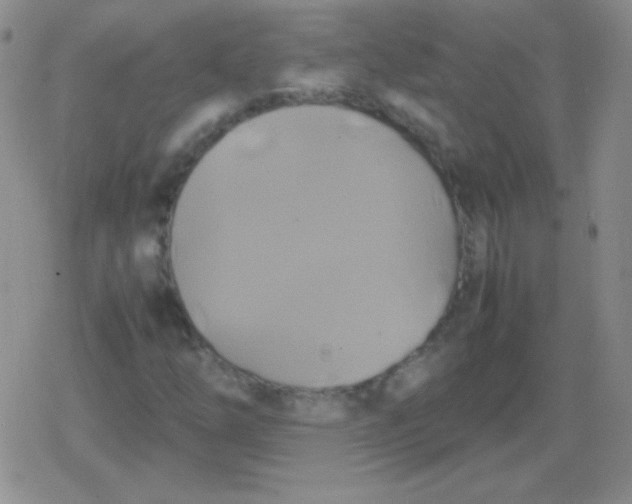 X0000079321254200612081925