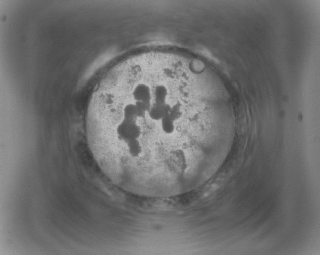 X0000079321255200612081925